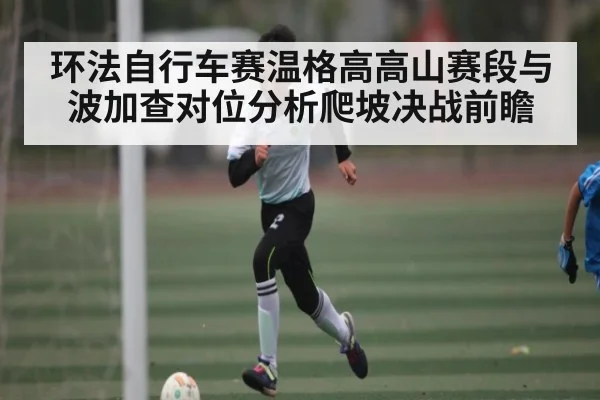 环法自行车赛温格高高山赛段与波加查对位分析爬坡决战前瞻