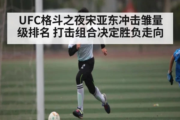 UFC格斗之夜宋亚东冲击雏量级排名 打击组合决定胜负走向
